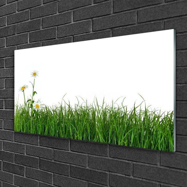 Quadro in vetro Erba Natura Pianta 100x50 cm 2 appendini