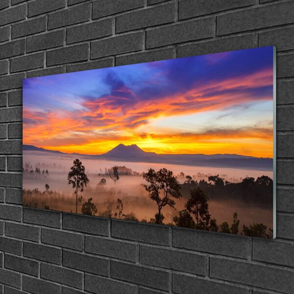 Quadro su vetro Alberi Nebbia Paesaggio 100x50 cm 2 appendini