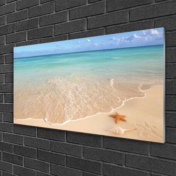 Quadro di vetro Paesaggio di spiaggia con stelle marine 100x50 cm 2 appendini