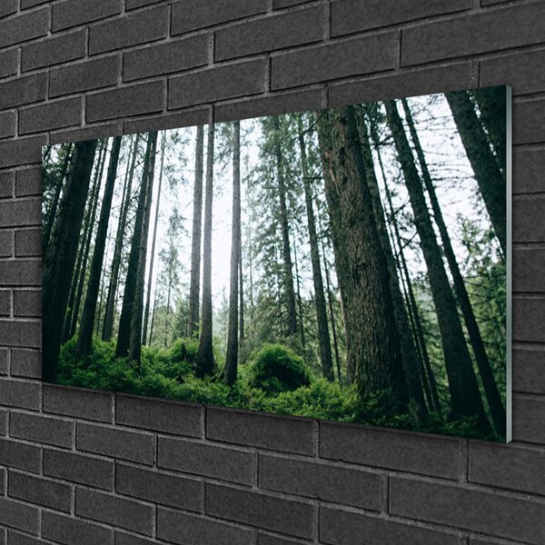 Quadro in vetro Foresta Natura Alberi 100x50 cm 2 appendini