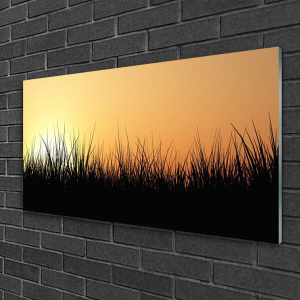 Quadro in vetro Erba Natura Pianta 100x50 cm 2 appendini