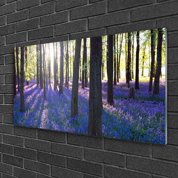 Quadro in vetro Foresta Alberi Natura 100x50 cm 2 appendini