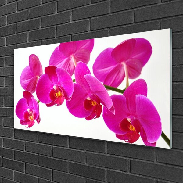 Quadro di vetro Pianta di fiori 100x50 cm 2 appendini