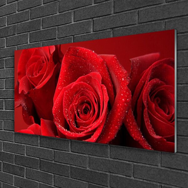 Quadro vetro Fiori di rose 100x50 cm 2 appendini