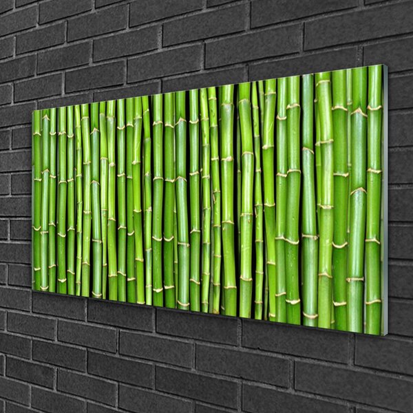 Quadro vetro Pianta di fiori di bambù 100x50 cm 2 appendini