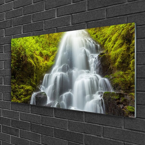 Quadro in vetro Cascata Natura 100x50 cm 2 appendini