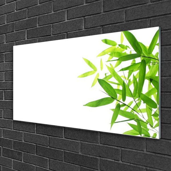Quadro in vetro Foglia Natura Pianta 100x50 cm 2 appendini