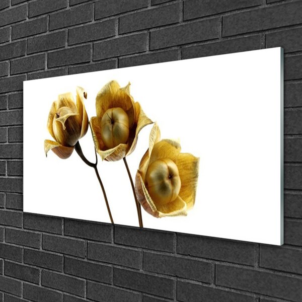 Quadro vetro Pianta di fiori 100x50 cm 2 appendini