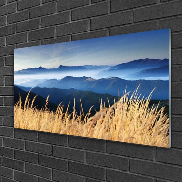 Quadro di vetro Paesaggio di campo 100x50 cm 2 appendini