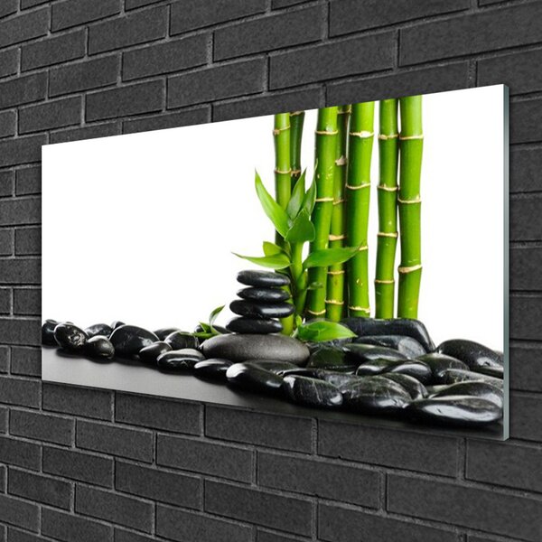 Quadro di vetro Bambù Bella Grafica 100x50 cm 2 appendini