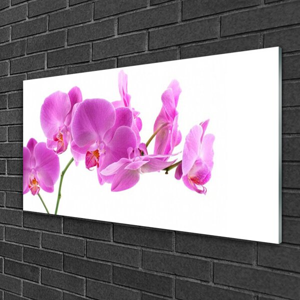 Quadro in vetro Fiori Pianta naturale 100x50 cm 2 appendini