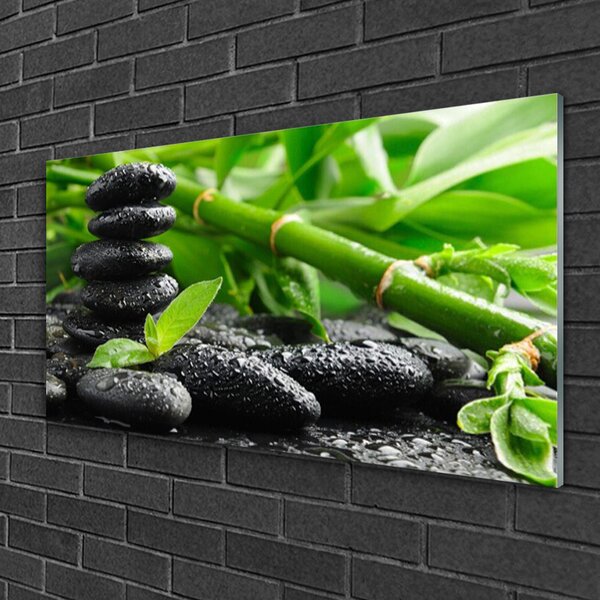 Quadro in vetro Pianta di germogli di bambù 100x50 cm 2 appendini