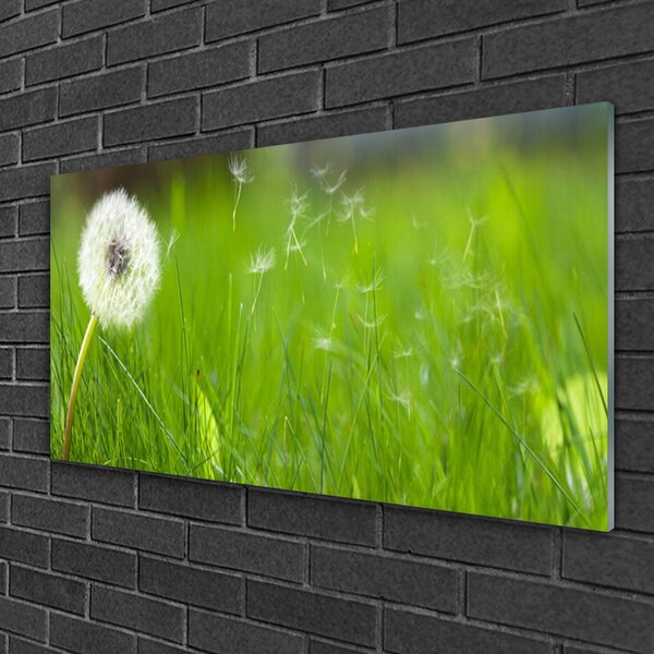 Quadro vetro Pianta di erba soffiata 100x50 cm 2 appendini