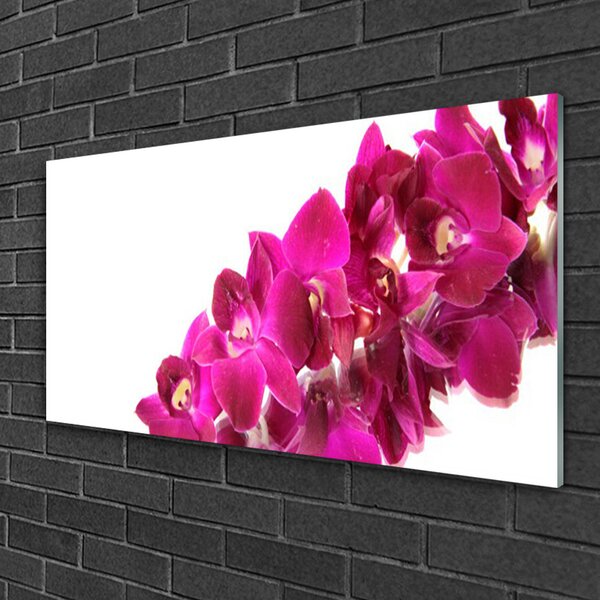 Quadro vetro Fiori Pianta naturale 100x50 cm 2 appendini