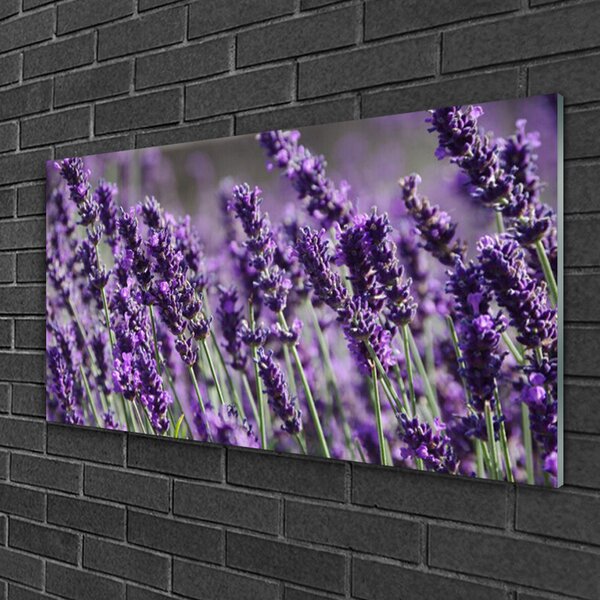 Quadro su vetro Fiori Pianta naturale 100x50 cm 2 appendini