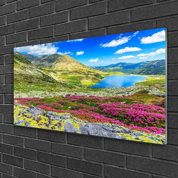 Quadro di vetro Baia di montagna Prato Natura 100x50 cm 2 appendini