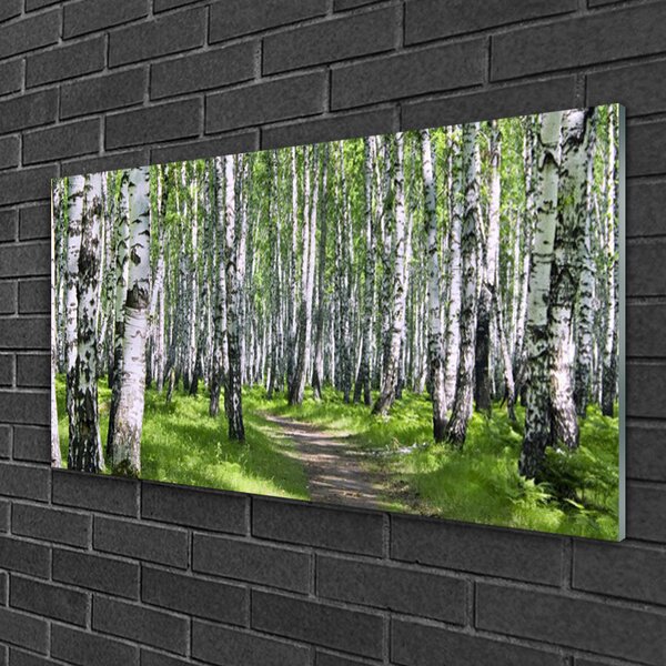 Quadro su vetro Sentiero forestale Natura Alberi 100x50 cm 2 appendini