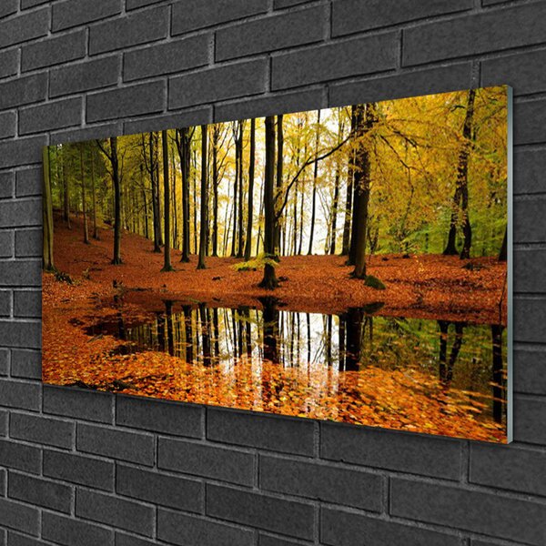 Quadro su vetro Foresta Natura Alberi 100x50 cm 2 appendini