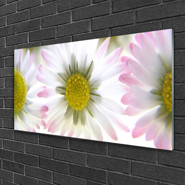 Quadro vetro Pianta naturale margherita 100x50 cm 2 appendini