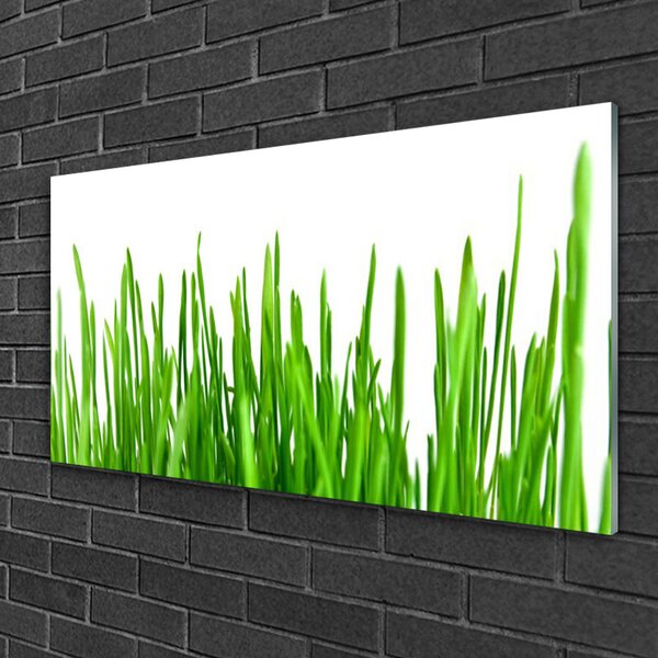 Quadro su vetro Erba Pianta Natura 100x50 cm 2 appendini