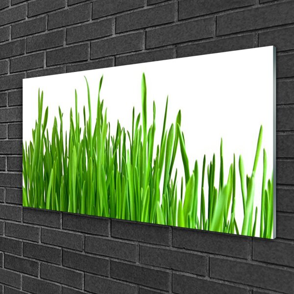 Quadro in vetro Erba Pianta Natura 100x50 cm 2 appendini