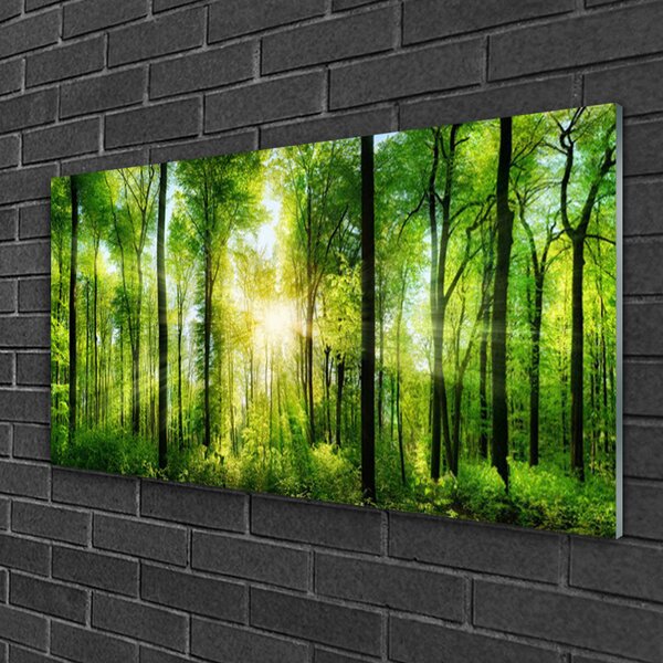 Quadro vetro Foresta Natura Alberi 100x50 cm 2 appendini