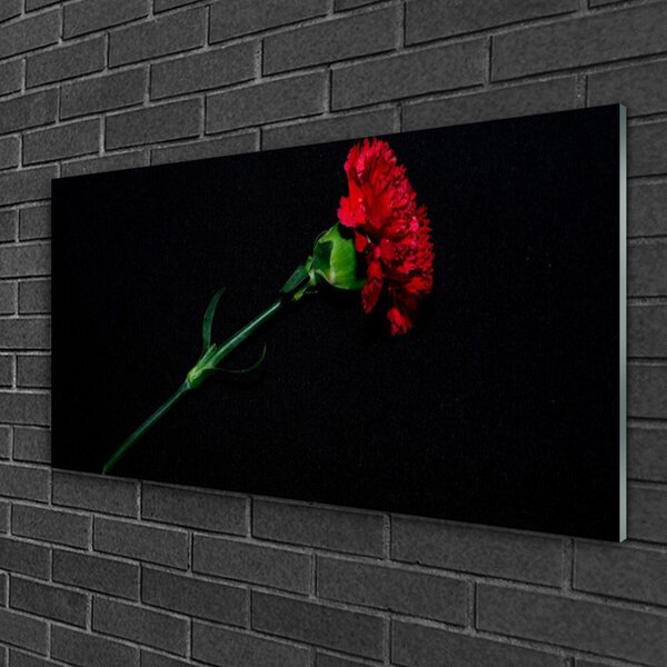 Quadro vetro Fiore Pianta naturale 100x50 cm 2 appendini