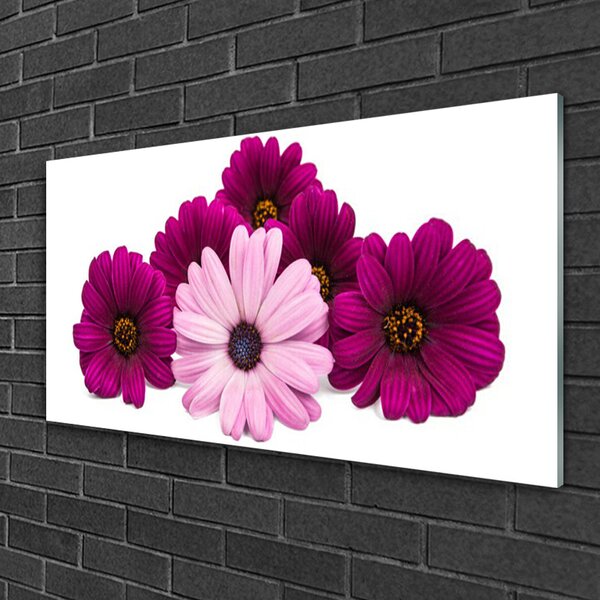 Quadro su vetro Fiori Pianta naturale 100x50 cm 2 appendini