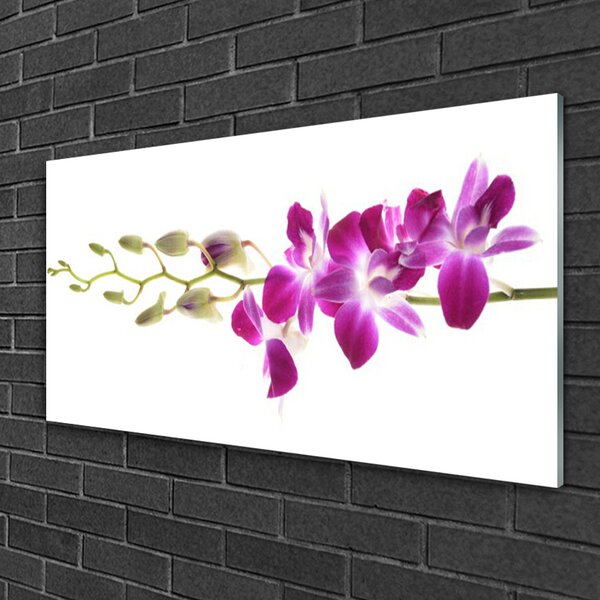 Quadro in vetro Fiori Pianta naturale 100x50 cm 2 appendini