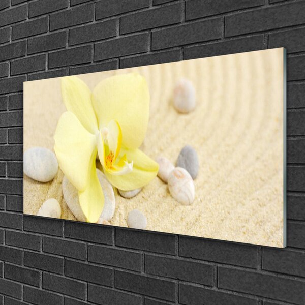 Quadro in vetro Fiori Pianta naturale 100x50 cm 2 appendini