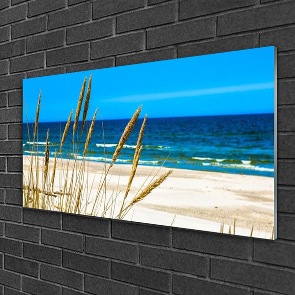 Quadro di vetro Paesaggio di Ocean Beach 100x50 cm 2 appendini