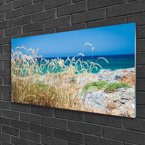 Quadro su vetro Paesaggio della spiaggia 100x50 cm 2 appendini