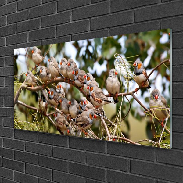 Quadro in vetro Uccelli Animali 100x50 cm 2 appendini