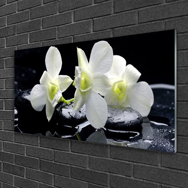 Quadro in vetro Fiore di orchidea bianco 100x50 cm 2 appendini