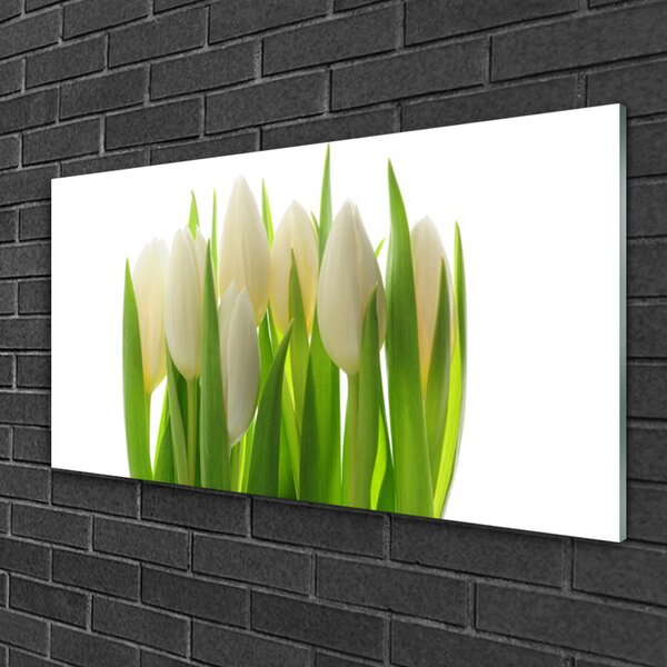 Quadro su vetro Tulipani Pianta Naturale 100x50 cm 2 appendini