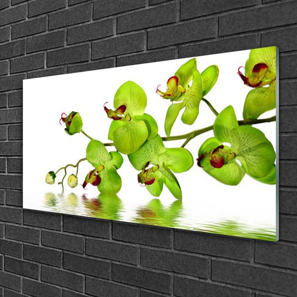 Quadro in vetro Fiori Pianta naturale 100x50 cm 2 appendini