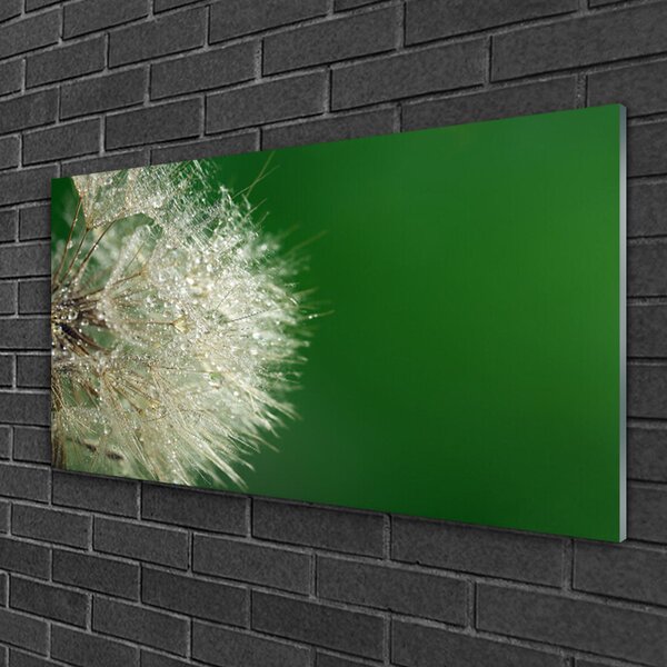 Quadro su vetro Pianta di dente di leone 100x50 cm 2 appendini