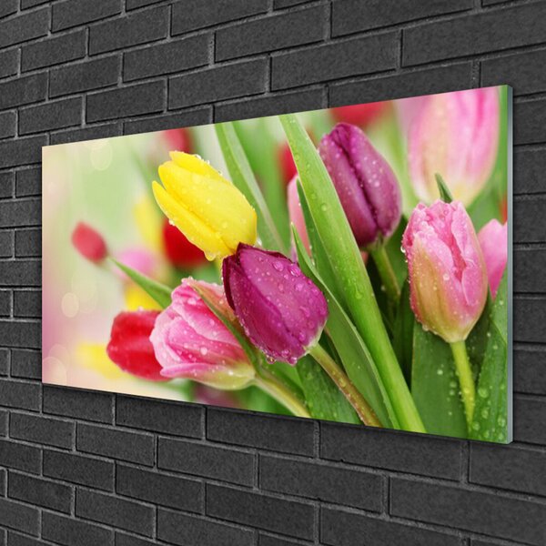 Quadro su vetro Tulipani Fiori Pianta 100x50 cm 2 appendini