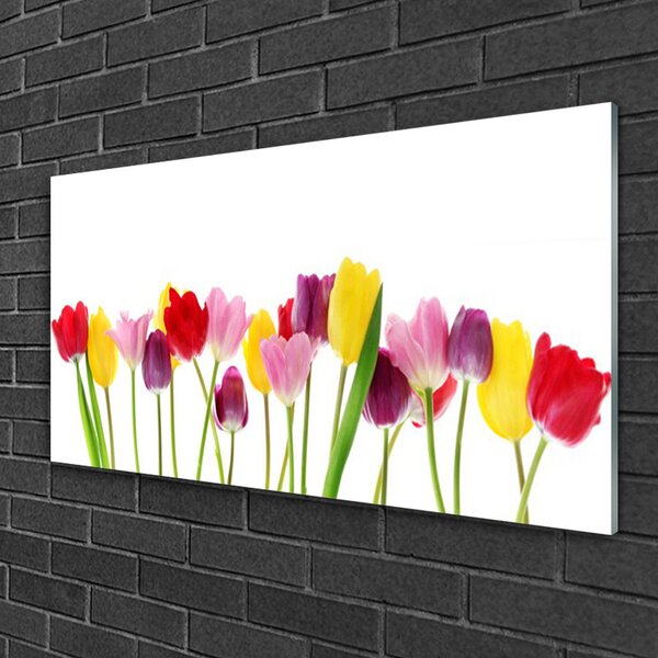 Quadro in vetro Tulipani Fiori Pianta 100x50 cm