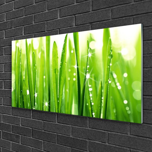 Quadro in vetro Erba Pianta Natura 100x50 cm 2 appendini