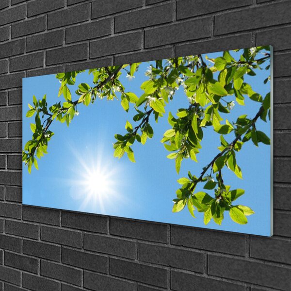 Quadro di vetro Sole Natura 100x50 cm 2 appendini