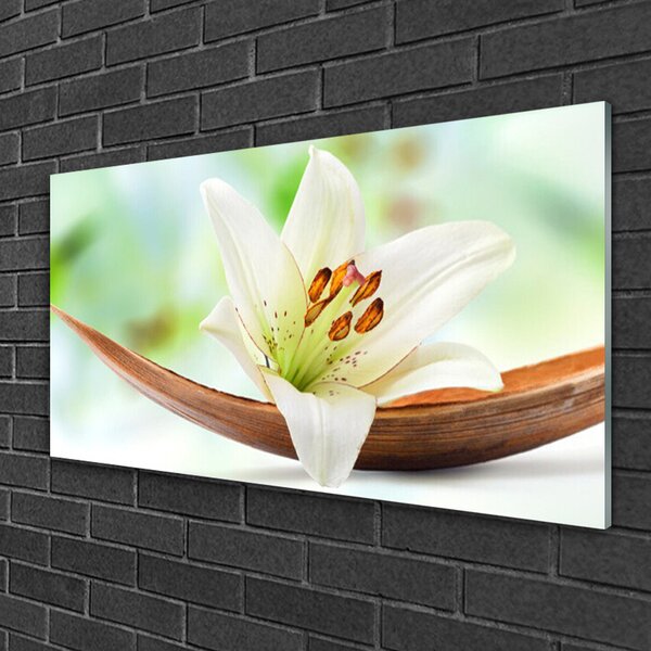 Quadro vetro Fiore Pianta naturale 100x50 cm 2 appendini