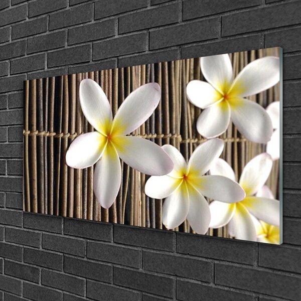 Quadro in vetro Fiori Pianta naturale 100x50 cm 2 appendini