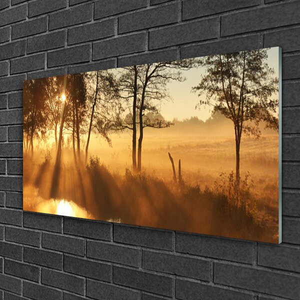 Quadro su vetro Alberi della natura 100x50 cm 2 appendini