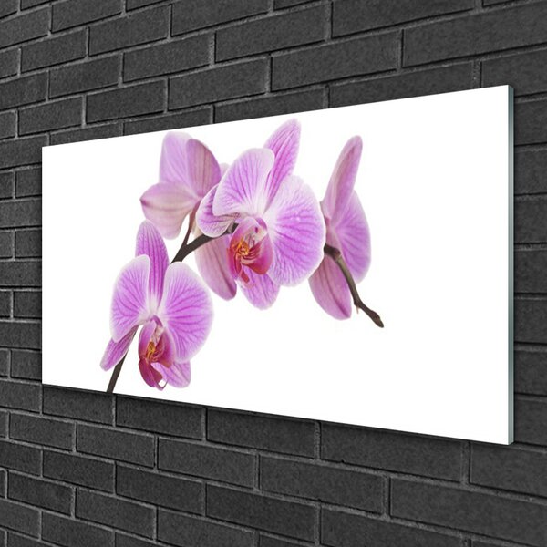 Quadro in vetro Fiori Pianta naturale 100x50 cm 2 appendini