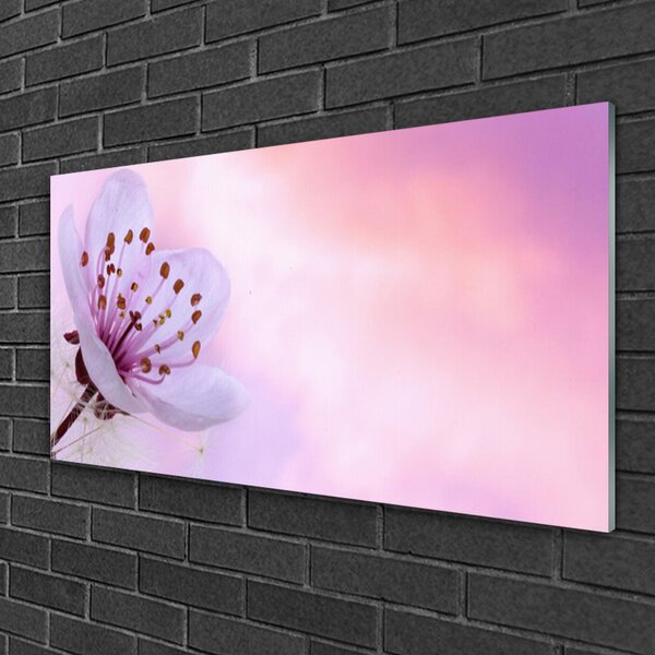 Quadro vetro Fiore Pianta naturale 100x50 cm 2 appendini