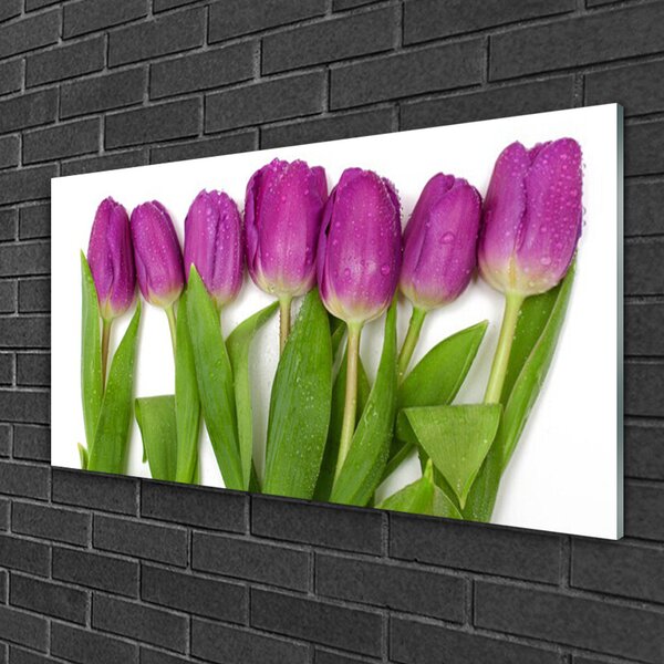Quadro su vetro Tulipani Fiori Pianta 100x50 cm 2 appendini