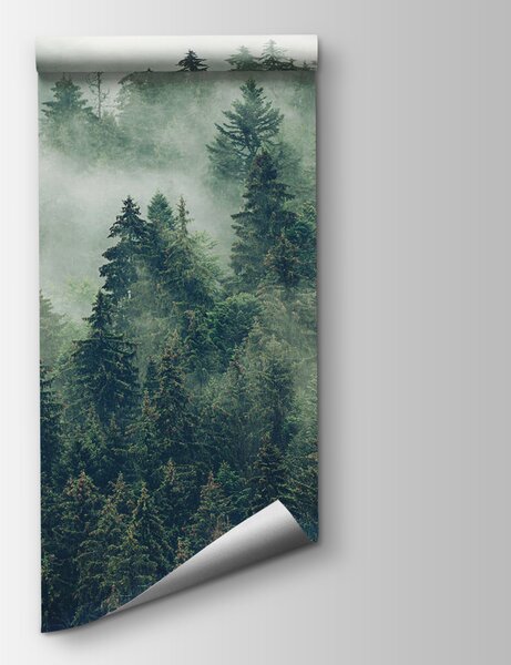 Carta da parati Foresta di alberi con nebbia, Carta da parati Foresta Nebbiosa, Carta da parati popolare, u73873 - Tapeko.it