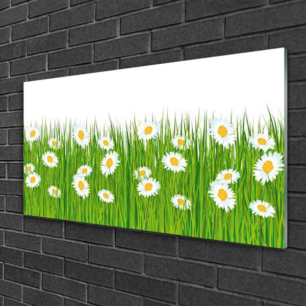 Quadro su vetro Erba margherita Natura 100x50 cm 2 appendini