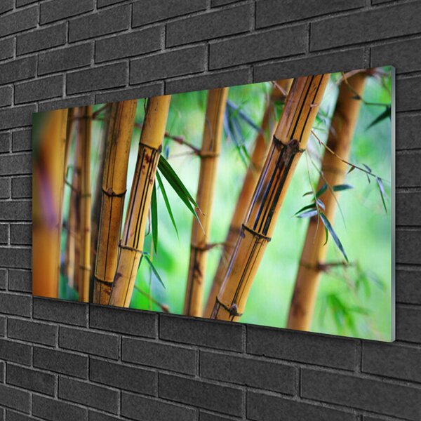 Quadro in vetro Bambù Pianta Naturale 100x50 cm 2 appendini